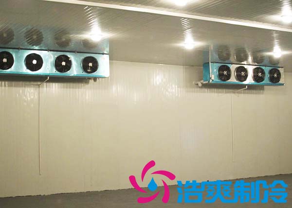 建造一間海參低溫冷凍庫大約需要多少費用？