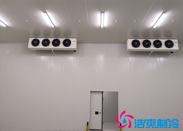 建造一個(gè)10000平方米生鮮冷庫冷鏈倉儲配送需要投資多少費(fèi)用？