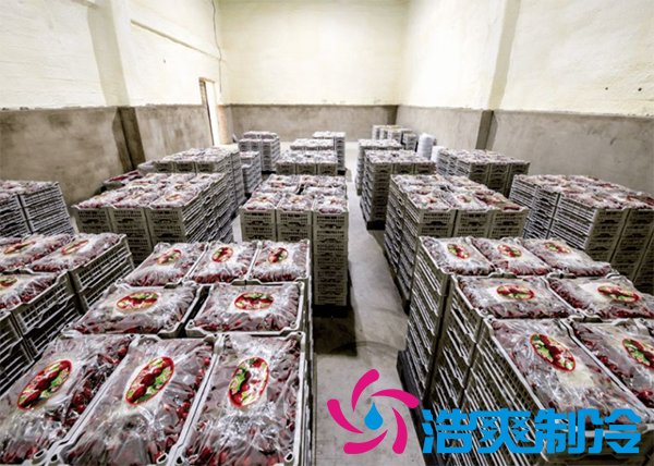 櫻桃氣調(diào)建造完成后有哪些儲存方法和步驟？_浩爽制冷