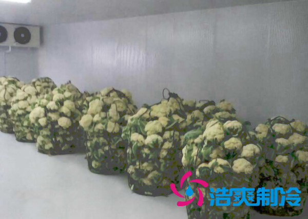 上海建造2000立方米鮮花氣調(diào)保鮮冷庫(kù)造價(jià)多少錢(qián)？