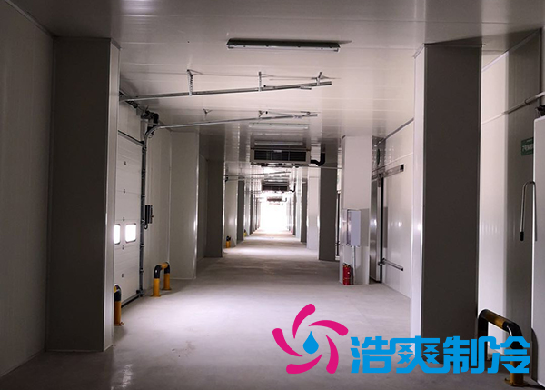 建造一間800立方米種子研究中心冷庫安裝造價多少錢？