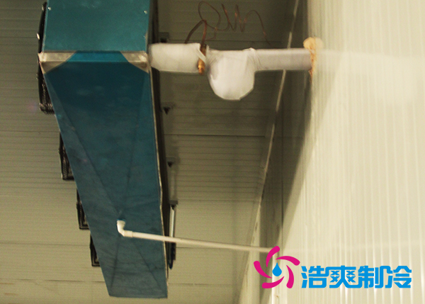 建造氣調(diào)保鮮冷庫安裝造價(jià)多少錢一平米？_浩爽制冷
