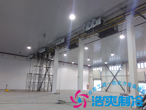 建造一個(gè)小型青果檳榔保鮮冷庫(kù)造價(jià)多少錢(qián)？可以存儲(chǔ)多長(zhǎng)時(shí)間？