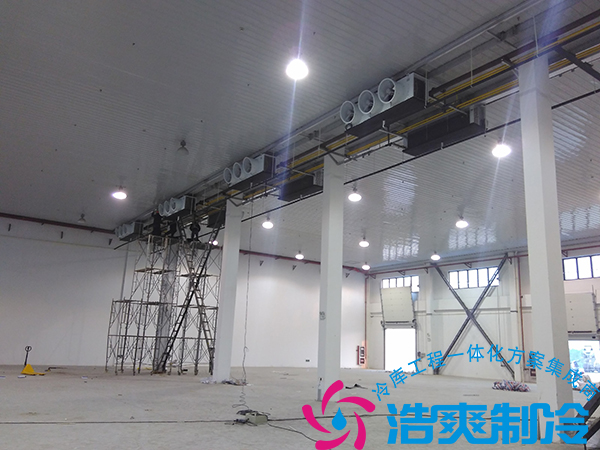 餐飲公司建造21000立方米大型食品冷藏庫造價多少錢？_浩爽制冷