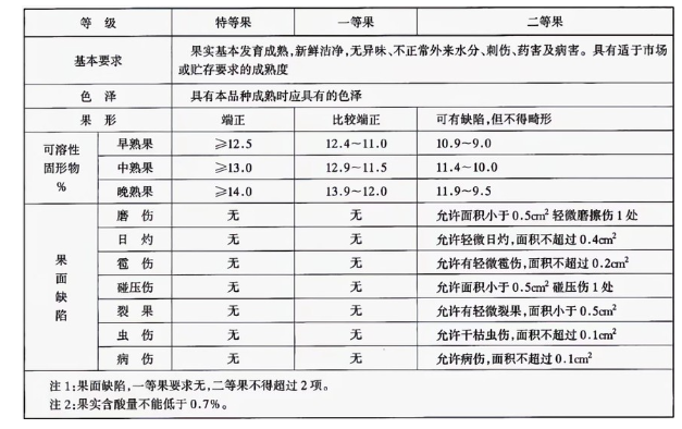 李子冷庫建造完成后如何用于儲存的？這些你都知道嗎