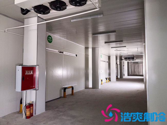 芭蕉氣調(diào)保鮮庫安裝如何確保果實(shí)的長(zhǎng)期儲(chǔ)存？_浩爽制冷