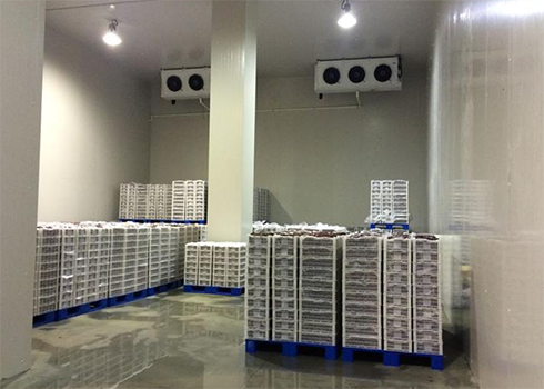 建造安裝1000㎡冷庫造價大概需要多少費用？_浩爽制冷