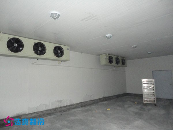 孝感市生豬屠宰場(chǎng)大型低溫冷庫建造工程