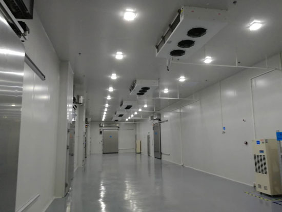 100平方米冷庫建造成本多少錢？