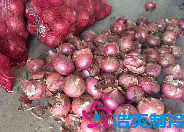 建一個(gè)洋蔥保鮮庫要多少錢呢？_浩爽制冷