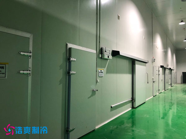 100噸香菜保鮮冷庫(kù)安裝成本是多少？_浩爽制冷