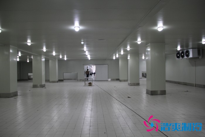 江蘇通達(dá)1500㎡農(nóng)產(chǎn)品低溫冷藏冷凍庫建造