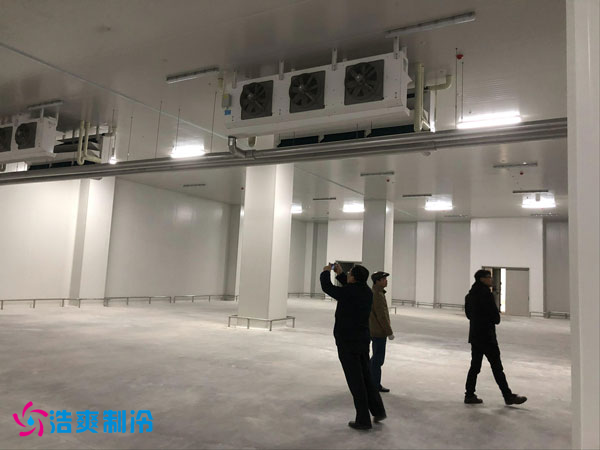 建造一間鳳梨保鮮冷庫費用需要多少錢？_浩爽制冷
