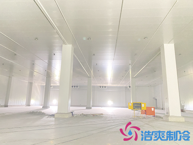 新建100噸桃子冷庫要多少錢？_浩爽制冷