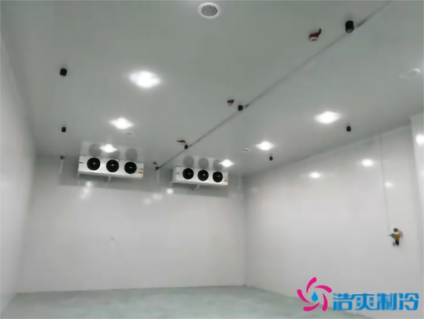 調(diào)味料冷庫溫度需求，建一個食品調(diào)味料冷庫多少錢？_浩爽制冷