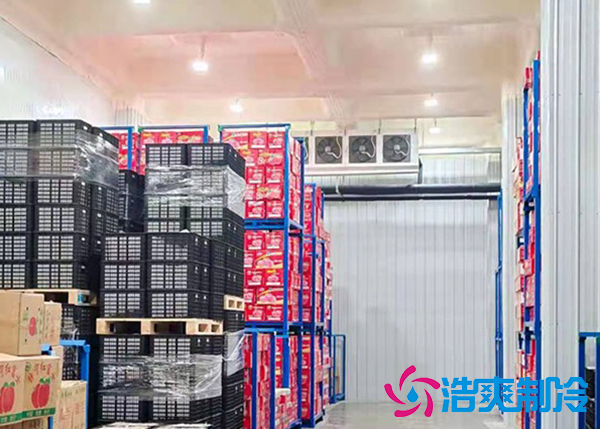 水果冷庫(kù)保鮮庫(kù)建造價(jià)格是多少錢(qián)？-浩爽制冷
