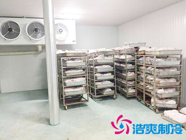 安裝一個(gè)速凍冷庫(kù)需多少錢？-浩爽制冷