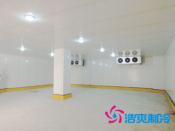 50噸果蔬氣調(diào)庫預(yù)算造價(jià)多少錢？-浩爽制冷
