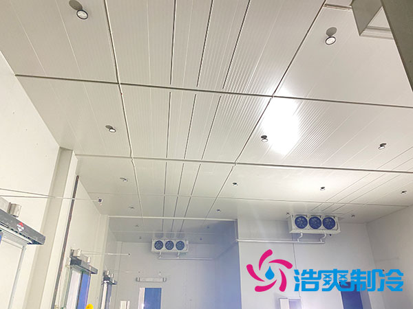 大型冷庫建設(shè)多少錢一平方？