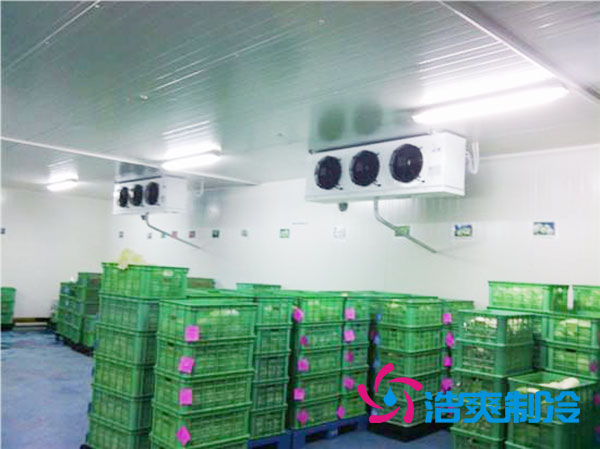 茶葉冷庫(kù)設(shè)置多少溫度合適？-浩爽制冷