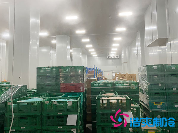 濟寧農(nóng)產(chǎn)品加工儲存冷庫多少錢？-浩爽制冷