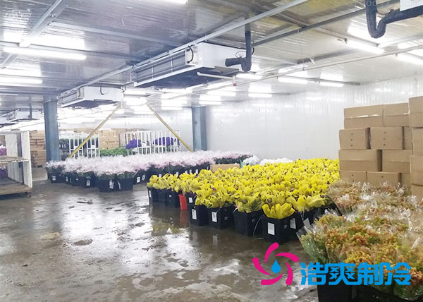 做個(gè)鮮花冷庫要多少錢？-浩爽制冷