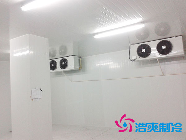 佛山雪糕冷凍庫價格多少錢？-浩爽制冷