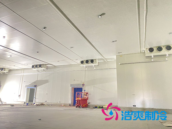 大型水果冷庫造價(jià)多少錢一平方？-浩爽制冷