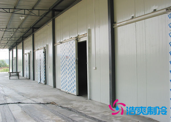 兩千噸冷庫(kù)投資成本多少錢合適？大概需要多少面積？-浩爽制冷