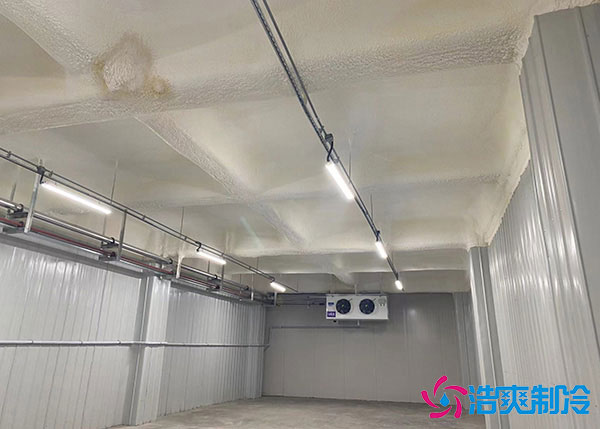 低溫冷庫(kù)建造用風(fēng)冷好還是排管好？.jpg
