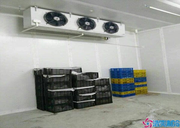 寧夏氣調(diào)冷庫(kù)如何建造？.jpg