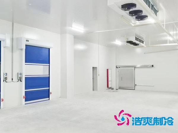 蔬菜水果冷庫建設