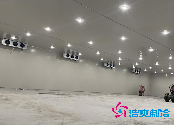 -18℃凍肉能放半年？揭秘食品冷庫造價秘密！-浩爽制冷